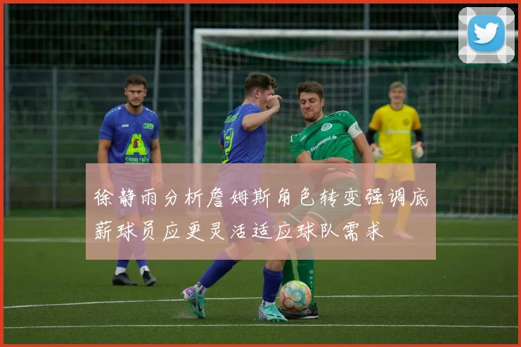 徐静雨分析詹姆斯角色转变强调底薪球员应更灵活适应球队需求