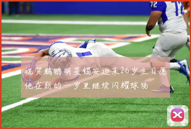 祝贺鹈鹕明星锡安迎来26岁生日愿他在新的一岁里继续闪耀球场