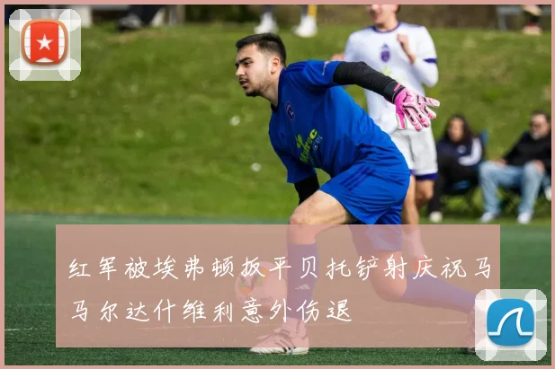 红军被埃弗顿扳平贝托铲射庆祝马马尔达什维利意外伤退