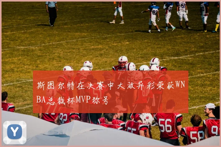 斯图尔特在决赛中大放异彩荣获WNBA总裁杯MVP称号