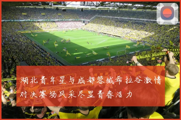 湖北青年星与成都蓉城希拉谷激情对决赛场风采尽显青春活力
